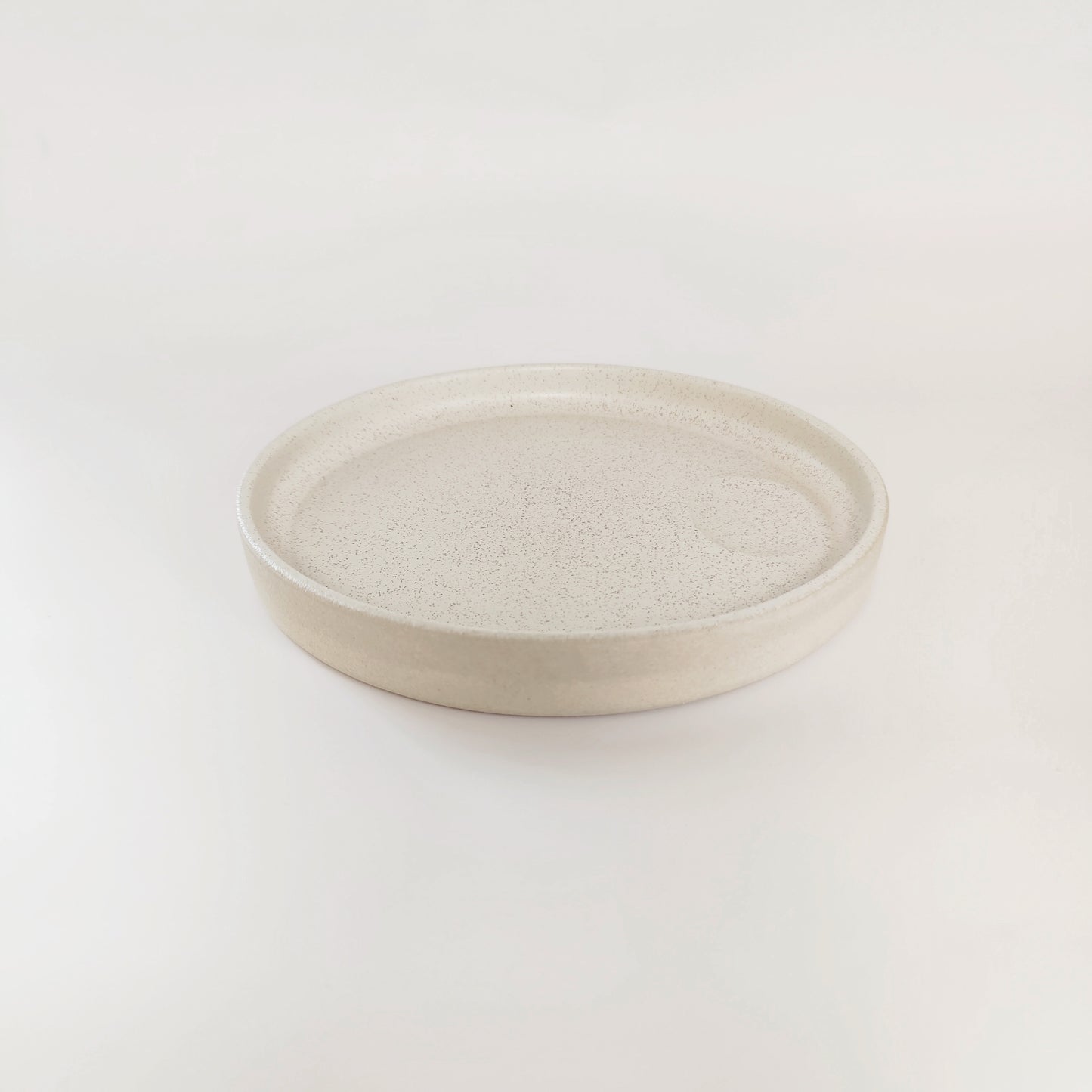 DINNER PLATE 25CM